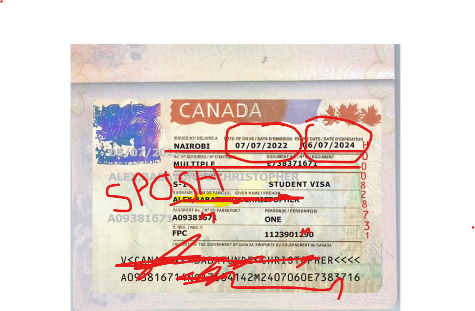 canvisa